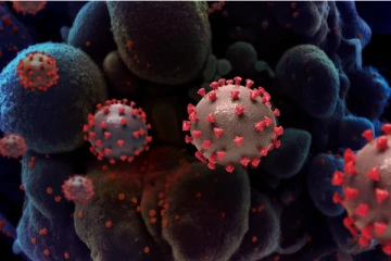 இது லிஸ்ட்லயே இல்லையே: 48,500 ஆண்டு பழைய ZOMBIE VIRUS - பேராபத்து!