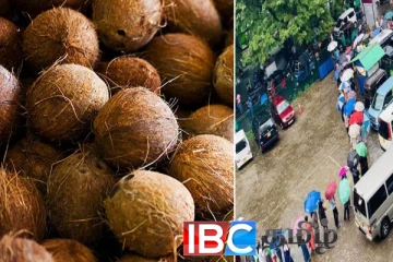 தேங்காய் விலை தொடர்பில் வெளியான தகவல்