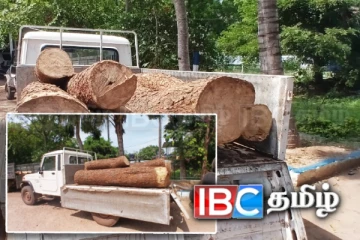 முப்பது இலட்சம் பெறுமதியான முதிரை மரக்குற்றிகள் மீட்பு!