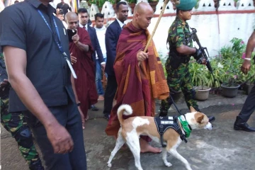 සාම පා ගමනේ පිරිස අත්තනගල්ල රජමහාවිහාරයට