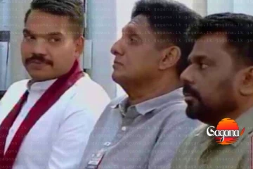 මීලග ජනපති සජිත් ප්‍රේමදාසද? නාමල් රාජපක්ෂගේ ජනපති සිහිනයට මොකද වෙන්නේ?