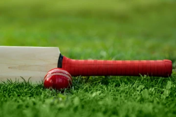 இலங்கை மற்றும் மாலைதீவு நாடாளுமன்ற உறுப்பினர்களுக்கு இடையில் கிரிக்கெட் போட்டி - ஜனாதிபதியும் விளையாடலாம்