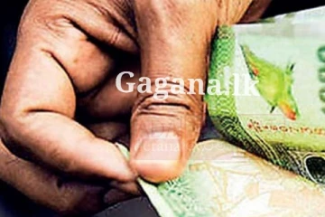 ඔයාගේ ගෙදර වත්තෙත් නිකම් හැදෙන මෙන්න මේවා තියෙනව ද?. එහෙනම් කල්ල මරේ ආ..