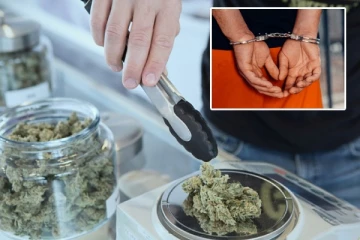 பிரிந்து சென்ற மனைவியை தண்டிக்க 500கி கஞ்சாவை கையில் எடுத்த கணவர்: அம்பலமான சதி செயல்