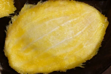 இனி மாங்கொட்டையை வீசாதிங்க.. இப்படி செய்து சாப்பிட்டால் நன்மைகள் ஏராளம்!