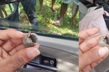 දෝෂ සහිත එයාර් බෑග් නිසා ජීවිතයෙන් වන්දි ගෙවන්නට වුනු කතාවක්