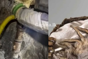 සියල්ලන් පුදුමයට පත් කරමින් ගැඹුරු පතලකින් සොයාගත් දේ - අවුරුදු 2,000කට වඩා පෞරාණිකයි. (PHOTOS)