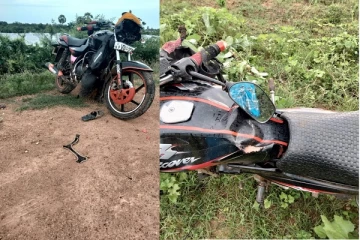 மாந்தை மேற்கு பகுதியில் காட்டு யானை தாக்கி இளைஞர் காயம்