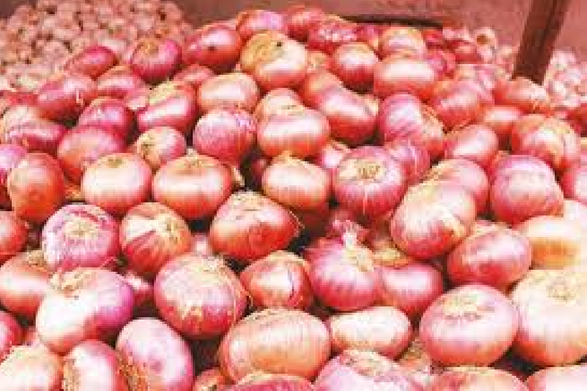 பெரிய வெங்காயத்தின் விலை சடுதியாக உயர்வு | Big Onion Prices Rise