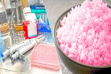 மாமிச அரிசியை கண்டுபிடித்து சாதனை படைத்த விஞ்ஞானிகள்