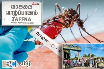 யாழில் அதிகரிக்கும் டெங்கு நோயாளர்கள் : இளைஞர்களின் முன்மாதிரியான செயற்பாடு