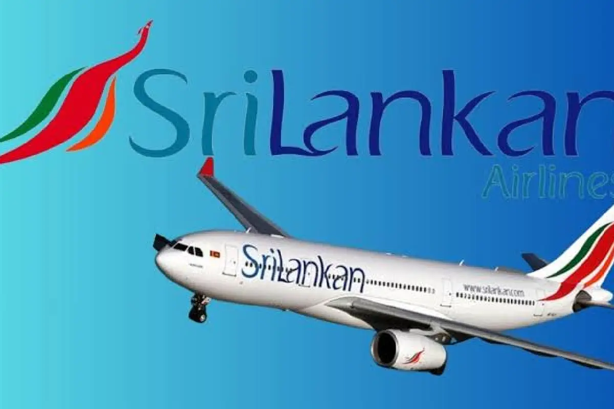 திடீரென இரத்து செய்யப்பட்ட ஸ்ரீலங்கன் ஏர்லைன்ஸ் விமானங்கள் | Srilankan Airlines Suspends Flights To Kuwait திடீரென இரத்து செய்யப்பட்ட ஸ்ரீலங்கன் ஏர்லைன்ஸ் விமானங்கள் | Srilankan Airlines Suspends Flights To Kuwait