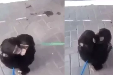 48 லட்சம் பேரை கலங்க வைத்த வெறும் 9 நொடி காட்சி! நடந்தது என்ன?