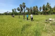 மாட்டிற்கு புல் வெட்ட சென்ற மூன்று பிள்ளைகளின் தந்தை பலி