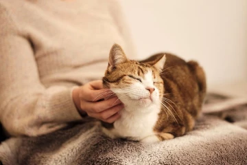 10000 டொலர் சன்மானம் அறிவித்த கனடிய பெண், எதற்கு தெரியுமா?