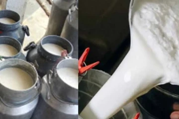 அடுத்தடுத்து அதிர்ச்சி - பால் விலை உயர்கிறது!