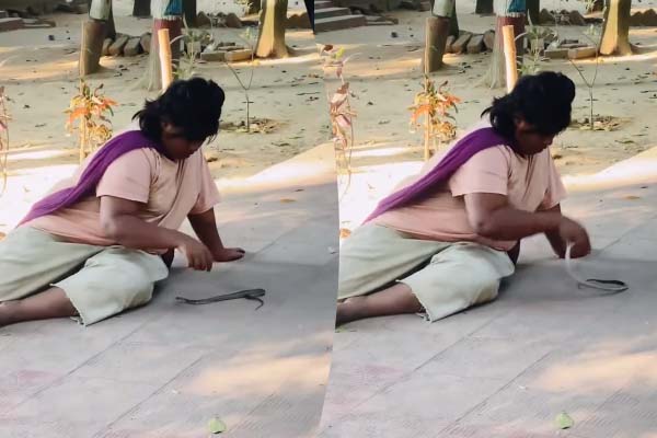 Viral Video: பாம்பிடம் அடுத்தடுத்து கடி வாங்கிய பெண்... புல்லரிக்க வைக்கும் காட்சி | Girl Play Snake But Bite Two Times Viral Video: பாம்பிடம் அடுத்தடுத்து கடி வாங்கிய பெண்... புல்லரிக்க வைக்கும் காட்சி | Girl Play Snake But Bite Two Times