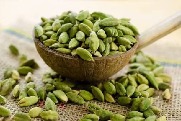 தினமும் ஒரு ஏலக்காய் சாப்பிடுவதால் இத்தனை நன்மையா? இரத்த சர்க்கரை முதல் செரிமானம் வரை | So Many Benefits From Eating A Cardamom Every Day