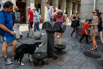 ஐரோப்பாவில் வெப்ப அலைக்கு பலியான ஆயிரக்கணக்கானோர்: வெளியான எண்ணிக்கையால் அதிர்ச்சி