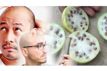 சொட்டைத் தலையில் முடி செழித்து வளர செய்யும் அற்புதக்காய்!