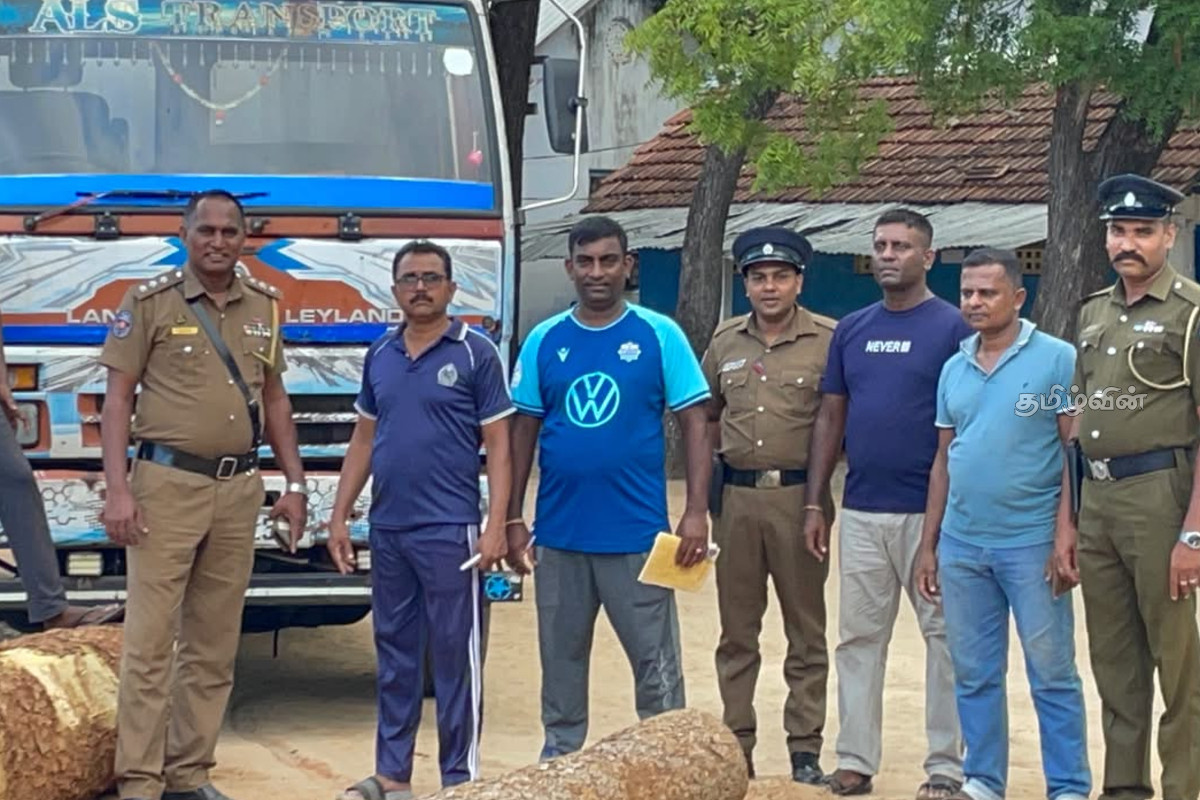 யாழில் பொலிஸாரின் சுற்றிவளைப்பில் பெருமளவு முதிரை மரக்குற்றிகள் மீட்பு: ஒருவர் கைது | Illegally Smuggled Acacia Saplings Recover Jaffna யாழில் பொலிஸாரின் சுற்றிவளைப்பில் பெருமளவு முதிரை மரக்குற்றிகள் மீட்பு: ஒருவர் கைது | Illegally Smuggled Acacia Saplings Recover Jaffna