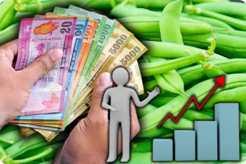 இலங்கையில் சடுதியாக அதிகரித்த போஞ்சி விலை