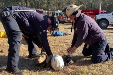 நாய்க்குட்டிக்காக குழிக்குள் இறங்கிய நபர்: அசரவைக்கும் மீட்பு காட்சிகள்!