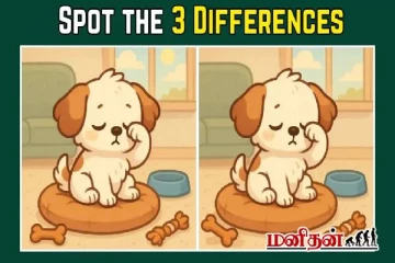 இந்த ஒரே மாதிரியான இரண்டு படங்களிலும் 3 வித்தியாசங்களை கண்டுபிடிக்க முடியுதா?