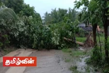 முல்லைத்தீவு மாவட்டத்தில் சீரற்ற காலநிலை காரணமாக பல குடும்பங்கள் பாதிப்பு!