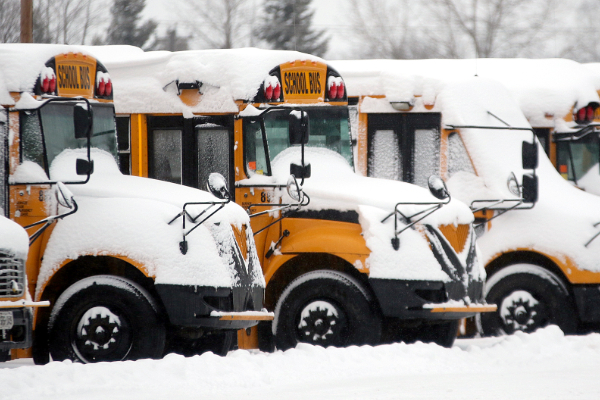 டொரோண்டோவில் கடும் பனிப்பொழிவு; பேருந்து சேவைகள் ரத்து | Heavy Snowfall In Toronto Bus Services Cancelled டொரோண்டோவில் கடும் பனிப்பொழிவு; பேருந்து சேவைகள் ரத்து | Heavy Snowfall In Toronto Bus Services Cancelled