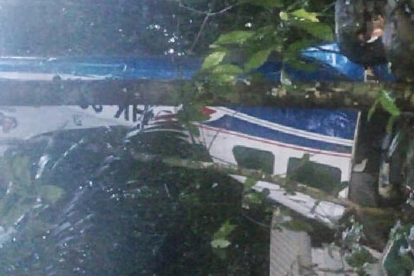 அமேசான் காட்டில் விபத்து : 4 குழந்தைகள் உயிருடன் மீட்பு | 4 Children Rescued After Plane Crash In Amazon