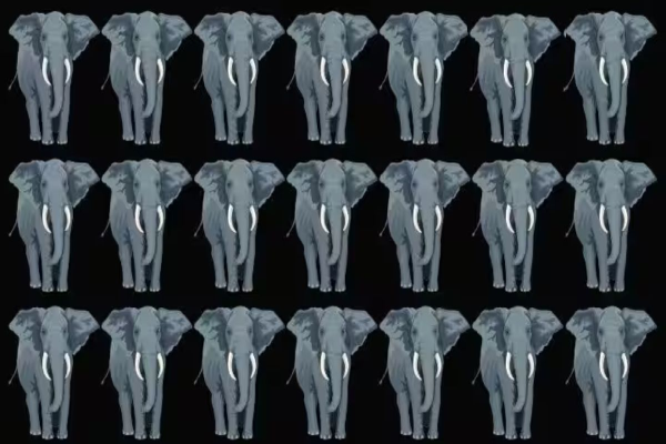 Optical illusion:ஒரே மாதியான யானைக் கூட்டத்தில் வித்தியாசமான யானை எங்கே உள்ளது.? | Optical Illusion Only Few Spot Different Elephant