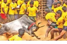 ஜல்லிக்கட்டு போட்டிகள்: மாடுபிடி வீரர்களுக்கான முன்பதிவு தொடங்கியது