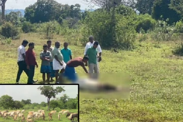 மயிலத்தமடு மேய்ச்சல் தரை விவகாரம்: பண்ணையாளர்கள் ஆதங்கம்