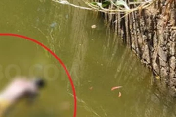 ජලාශයක පාවෙමින් තිබූ නිරුවත් මළ සිරුරක් හසු වෙයි.