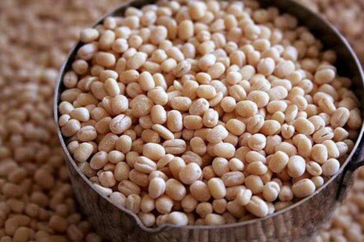 இப்படி மாவு அரைச்சு பாருங்க - தோசை ஹோட்டல் சுவையில் வரும் | Grinding Tips For Making Delicious Dosa Batter