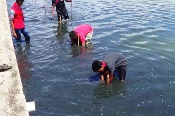 மட்டக்களப்பு வாவியினை பாதுகாக்க தொடங்கிய சாரணிய மாணவர்கள்!