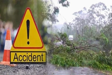 சீரற்ற காலநிலை : மரங்கள் விழுந்து மூவர் பரிதாப மரணம்