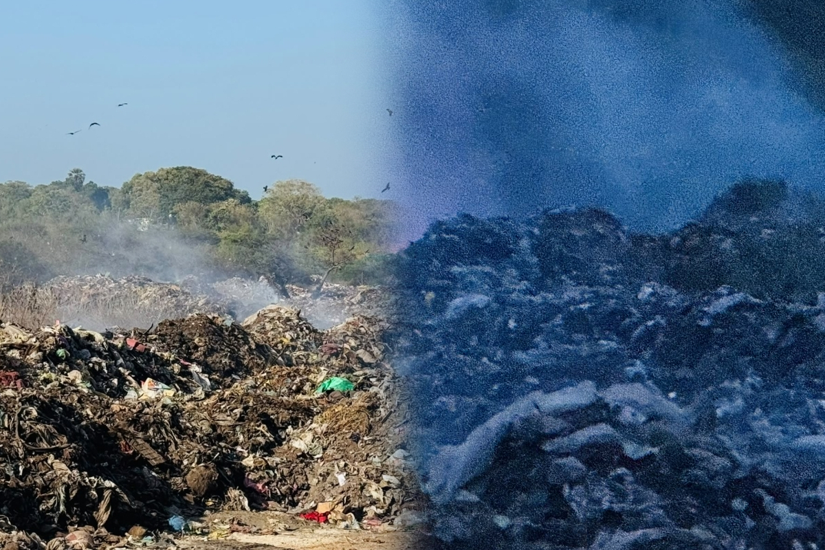 யாழ் கீரிமலை குப்பை மேட்டில் இரு நாட்களாக பற்றி எரியும் தீ! | Fire At Jaffna Keerimalai Garbage Dump யாழ் கீரிமலை குப்பை மேட்டில் இரு நாட்களாக பற்றி எரியும் தீ! | Fire At Jaffna Keerimalai Garbage Dump