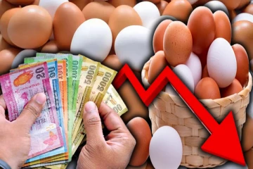 முட்டை விலை குறைப்பு தொடர்பில் வெளியான தகவல்