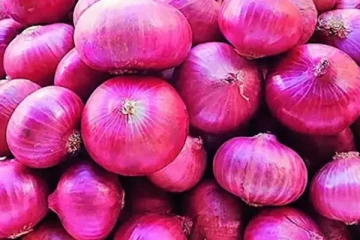 புத்தாண்டில் பெரிய வெங்காயத்தின் விலையில் வீழ்ச்சி : மக்கள் மகிழ்ச்சி