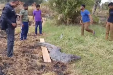 மட்டக்களப்பு ரயிலில் மோதிய முதலை