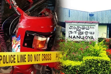 நுவரெலியா - நானுஓயாவில் முச்சக்கர வண்டி மீது மரம் விழுந்து விபத்து