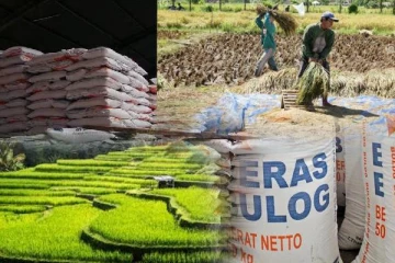 உச்சத்தை தொட்ட அரிசியின் விலை... வரிசையில் நிற்கும் மக்கள் எந்த நாட்டில் இந்த அவலம் தெரியுமா...!