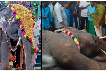 புகழ்பெற்ற மணக்குள விநாயகர் கோவில்: யானை லட்சுமி திடீர் உயிரிழப்பு!