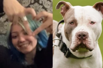 பிரிஸ்டல் நாய் தாக்குதல் சம்பவம்: 19 வயது பெண் கொடூர மரணம்