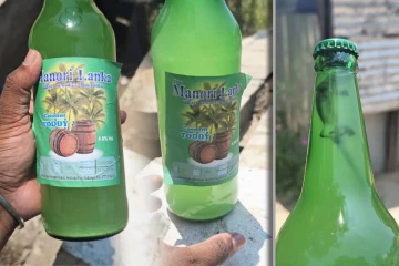 கள்ளு போத்தலுக்குள் இறந்து கிடந்த பல்லி! உடன் எடுக்கப்பட்டுள்ள நடவடிக்கை