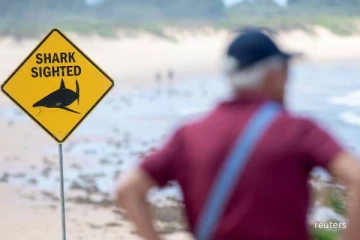 இரண்டு நாட்களில் மூன்று சம்பவம்... அவுஸ்திரேலிய நகரமொன்றின் கடற்கரைகள் மூடல்