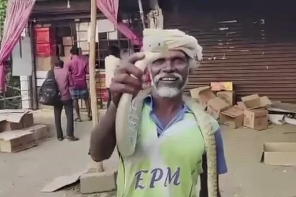 old-man-who-came-to-tasmac-with-a-snake