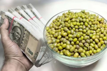 வீட்டில் பணம் நிரம்பி வழிய உதவும் பச்சைப்பயிறு பரிகாரம்